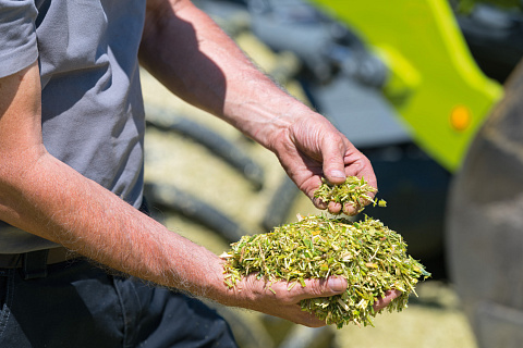 На AGROS 2021 компания CLAAS представит новые данные об экономической эффективности технологии SHREDLAGE